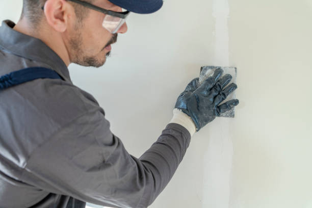 Best Drywall Crack Repair  in Crescent City, FL